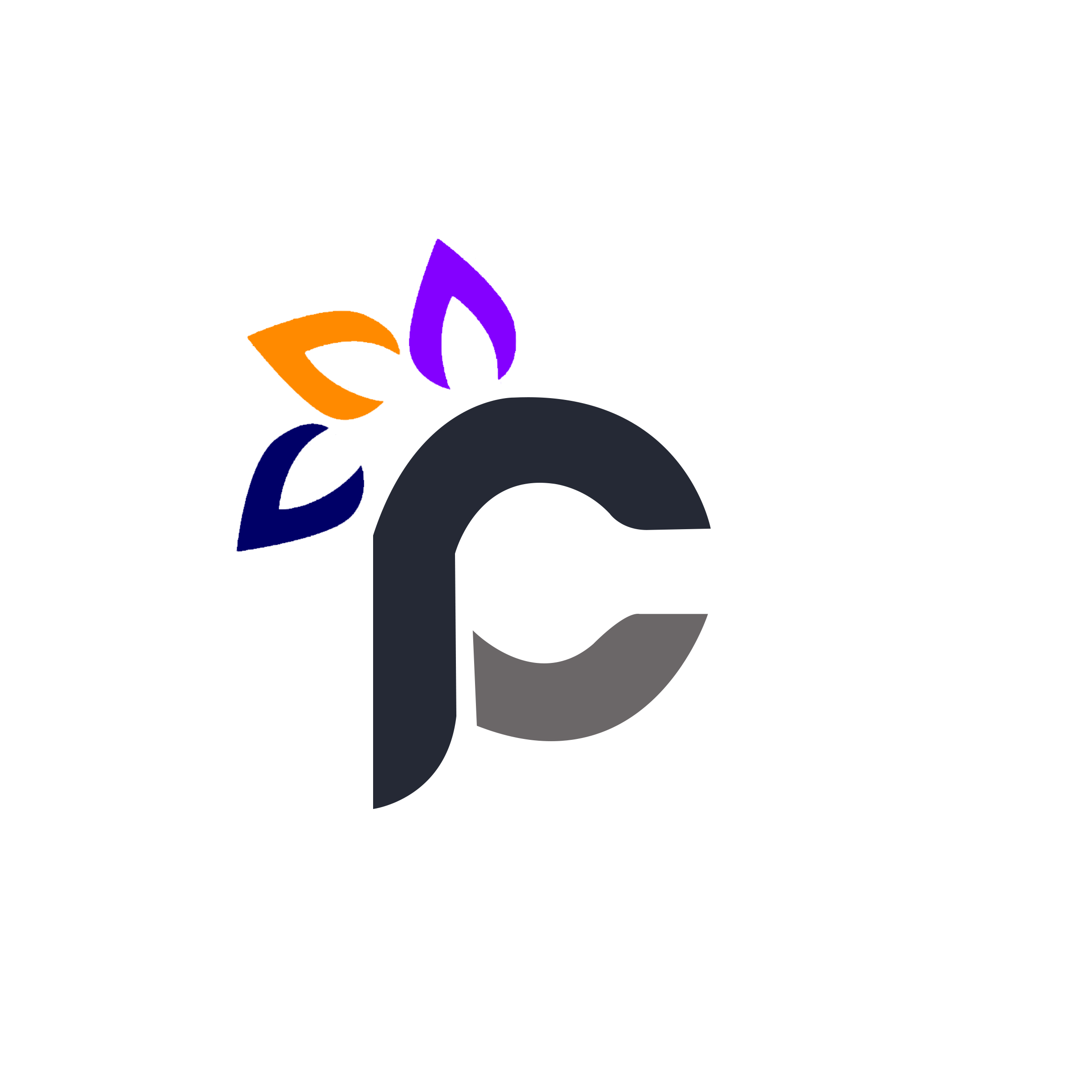 Programmers Court Limited Logo